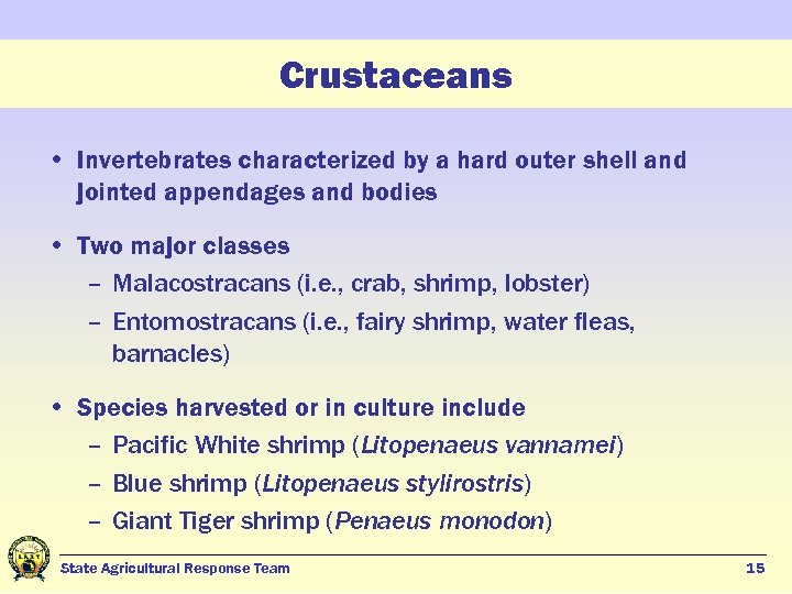 Crustaceans • Invertebrates characterized by a hard outer shell and jointed appendages and bodies