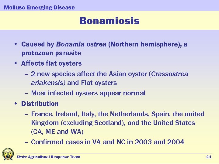 Mollusc Emerging Disease Bonamiosis • Caused by Bonamia ostrea (Northern hemisphere), a protozoan parasite