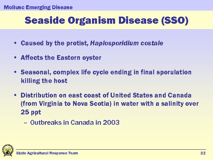 Mollusc Emerging Disease Seaside Organism Disease (SSO) • Caused by the protist, Haplosporidium costale