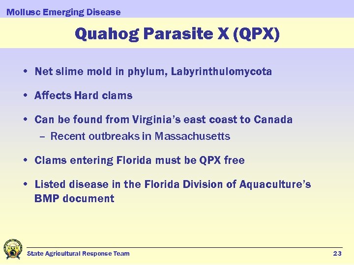 Mollusc Emerging Disease Quahog Parasite X (QPX) • Net slime mold in phylum, Labyrinthulomycota