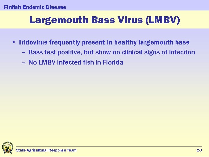 Finfish Endemic Disease Largemouth Bass Virus (LMBV) • Iridovirus frequently present in healthy largemouth