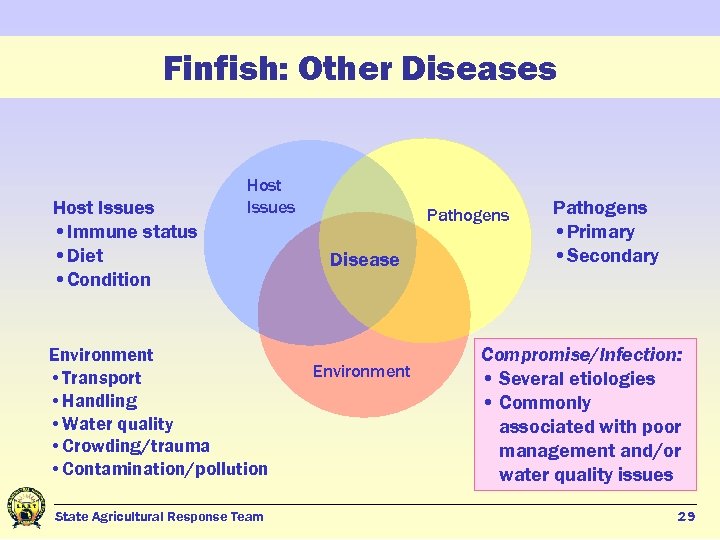 Finfish: Other Diseases Host Issues • Immune status • Diet • Condition Host Issues