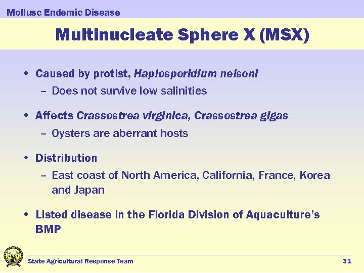 Mollusc Endemic Disease Multinucleate Sphere X (MSX) • Caused by protist, Haplosporidium nelsoni –