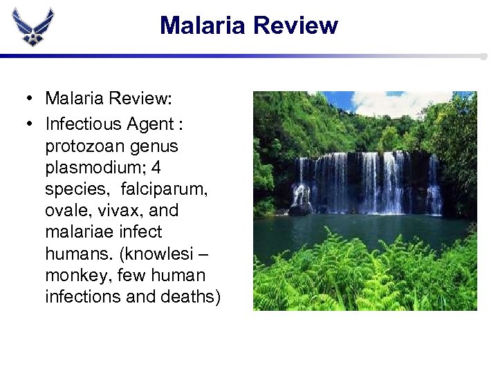 Malaria Review • Malaria Review: • Infectious Agent : protozoan genus plasmodium; 4 species,