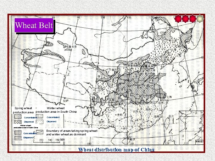 Wheat Belt Spring wheat Winter wheat production area in South China Concentrated Dispersed Winter
