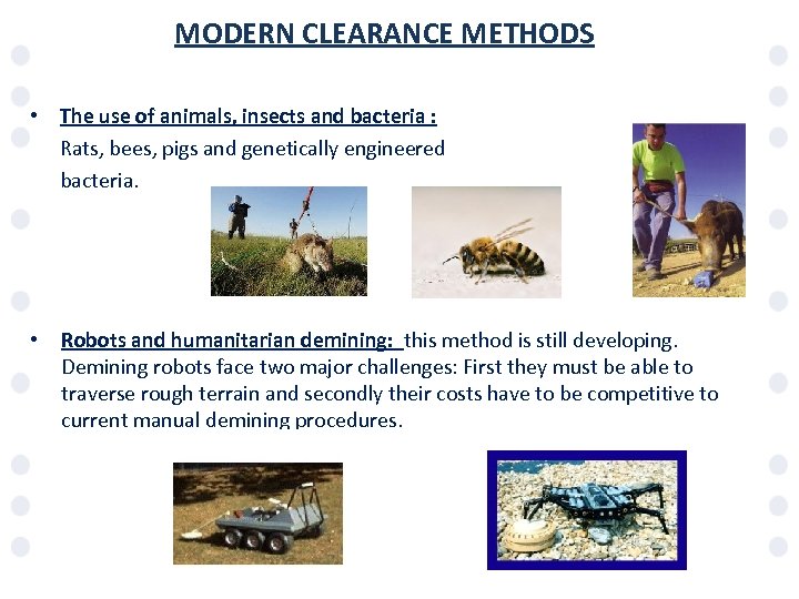 MODERN CLEARANCE METHODS • The use of animals, insects and bacteria : Rats, bees,