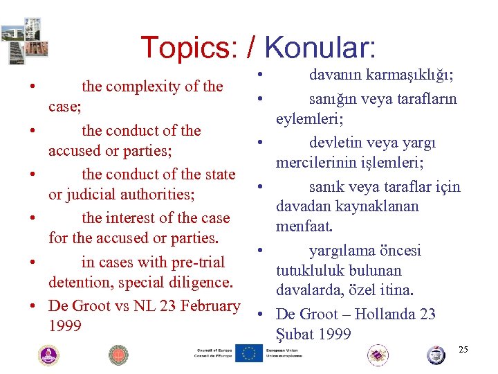 Topics: / Konular: • davanın karmaşıklığı; • the complexity of the • sanığın veya