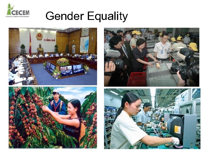 Gender Equality 