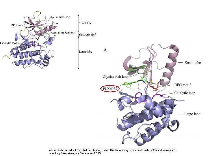 Atiqur Rahman at all. : «BRAF inhibitors: From the laboratory to clinical trials. »