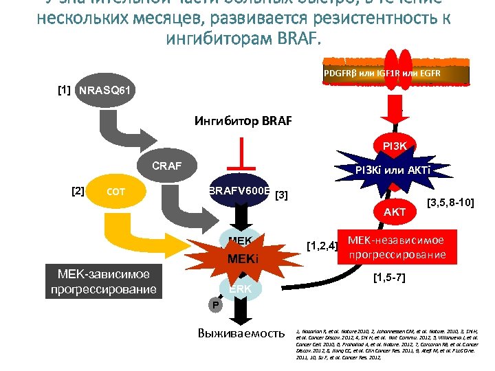 Таргетная терапия меланом