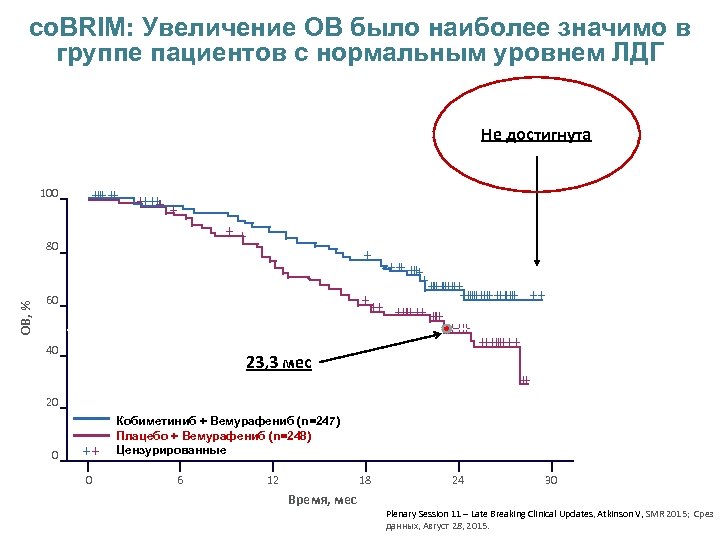 co. BRIM: Увеличение ОВ было наиболее значимо в группе пациентов с нормальным уровнем ЛДГ