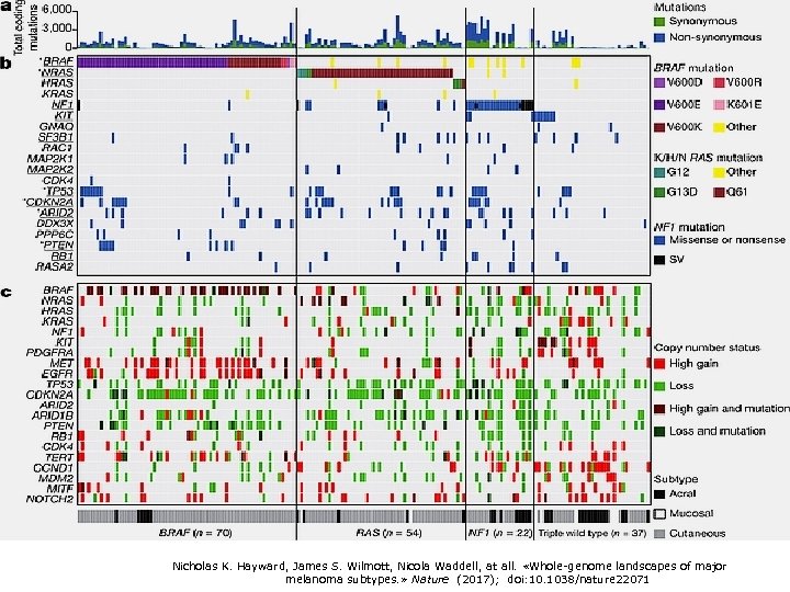 мутации Nicholas K. Hayward, James S. Wilmott, Nicola Waddell, at all. «Whole-genome landscapes of