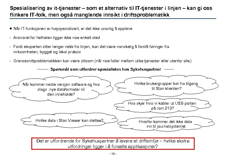 Spesialisering av it tjenester – som et alternativ til IT tjenester i linjen –