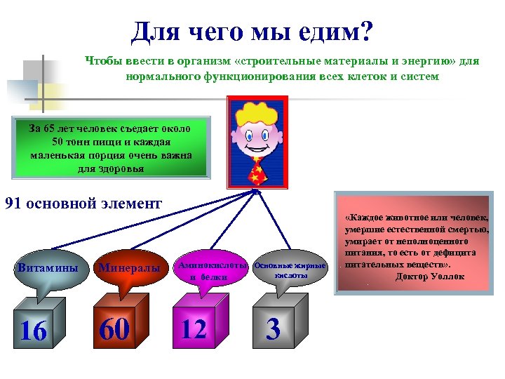 Для чего мы едим? Чтобы ввести в организм «строительные материалы и энергию» для нормального