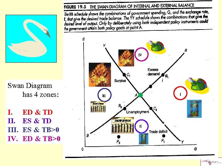 Swan Diagram has 4 zones: I. III. IV. ED & TD ES & TB>0