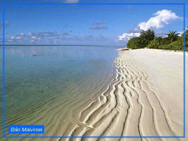Đảo Malvinas 