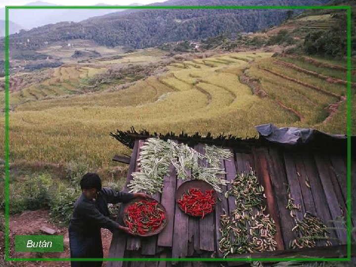 Bután 