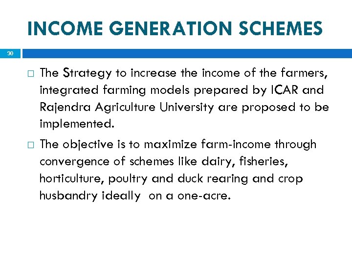 INCOME GENERATION SCHEMES 30 The Strategy to increase the income of the farmers, integrated