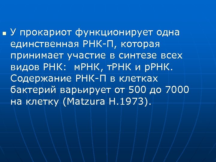 n У прокариот функционирует одна единственная РНК-П, которая принимает участие в синтезе всех видов