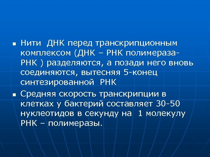 n n Нити ДНК перед транскрипционным комплексом (ДНК – РНК полимераза. РНК ) разделяются,