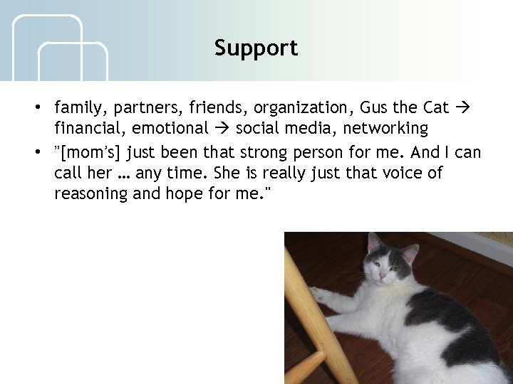 Support • family, partners, friends, organization, Gus the Cat financial, emotional social media, networking