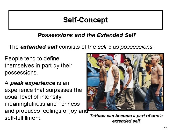 Self-Concept Possessions and the Extended Self The extended self consists of the self plus