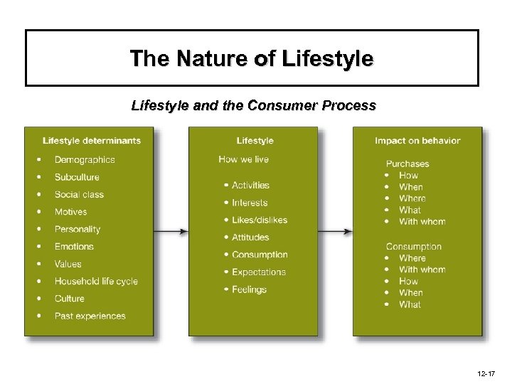 The Nature of Lifestyle and the Consumer Process 12 -17 