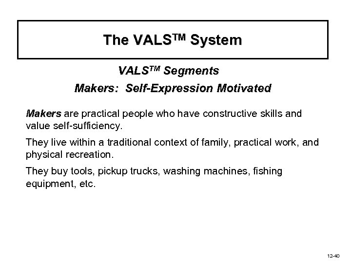 The VALSTM System VALSTM Segments Makers: Self-Expression Motivated Makers are practical people who have