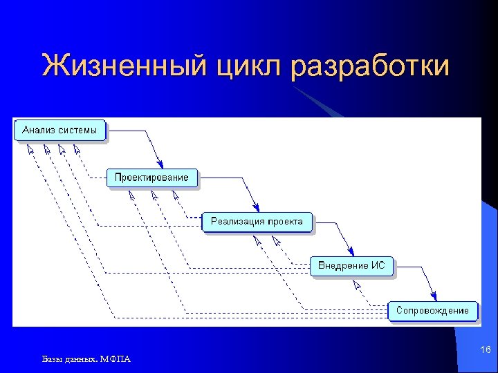 Жизненный цикл разработки Базы данных. МФПА 16 