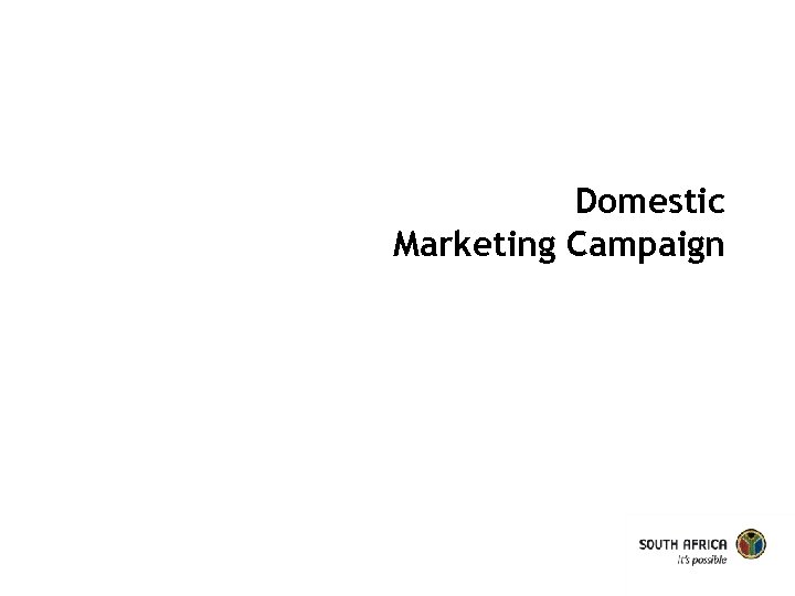 Domestic Marketing Campaign 
