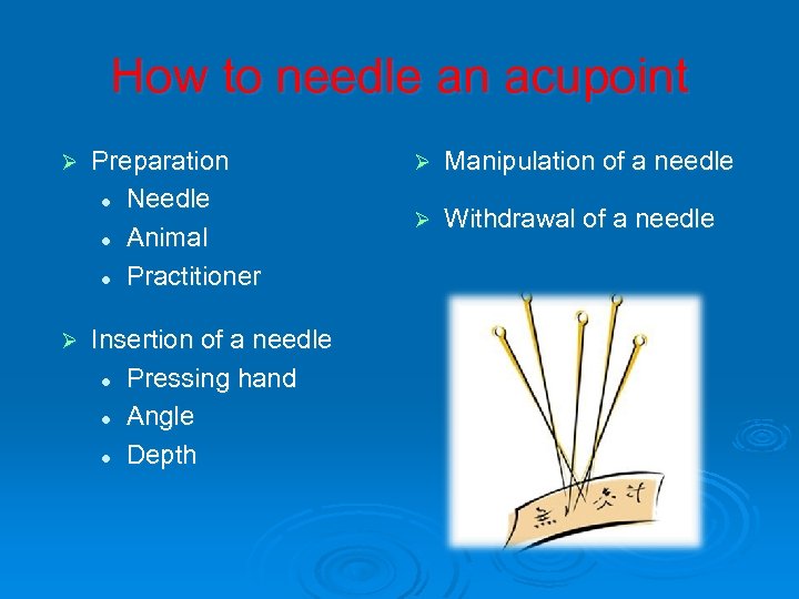 How to needle an acupoint Ø Ø Preparation l Needle l Animal l Practitioner