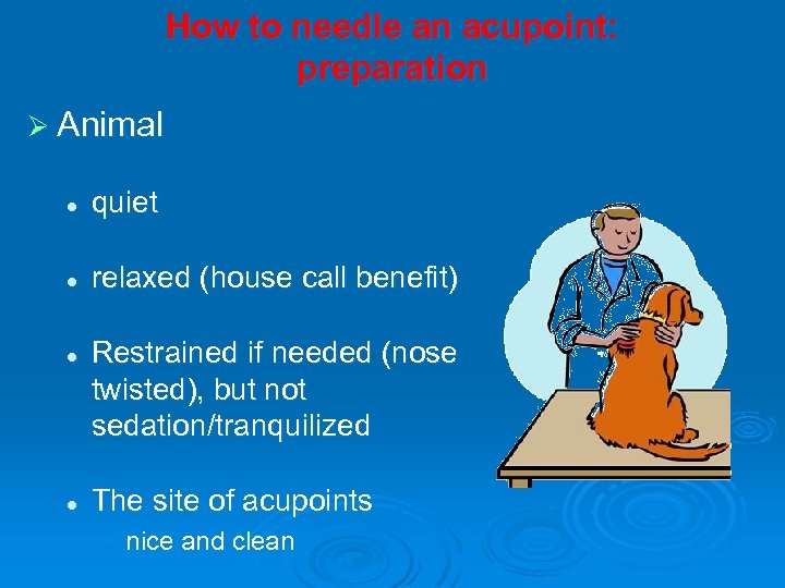 How to needle an acupoint: preparation Ø Animal l quiet l relaxed (house call