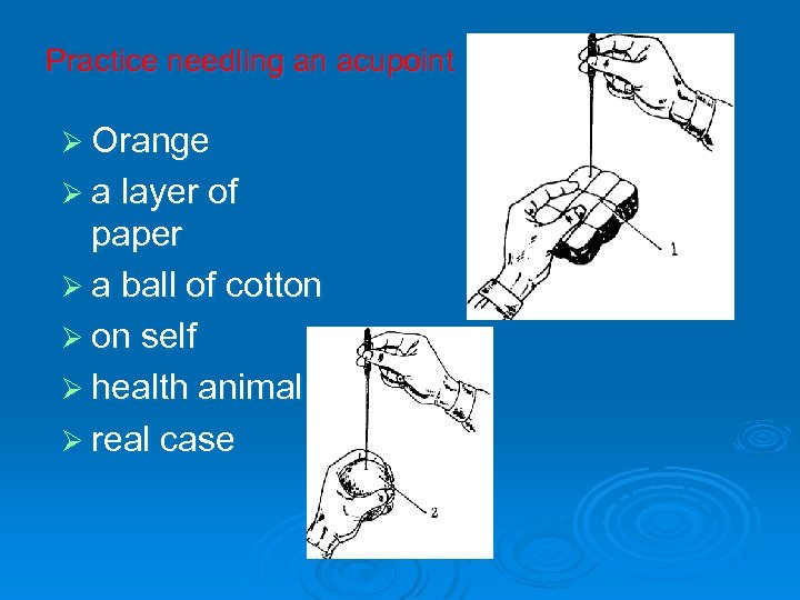 Practice needling an acupoint Ø Orange Ø a layer of paper Ø a ball