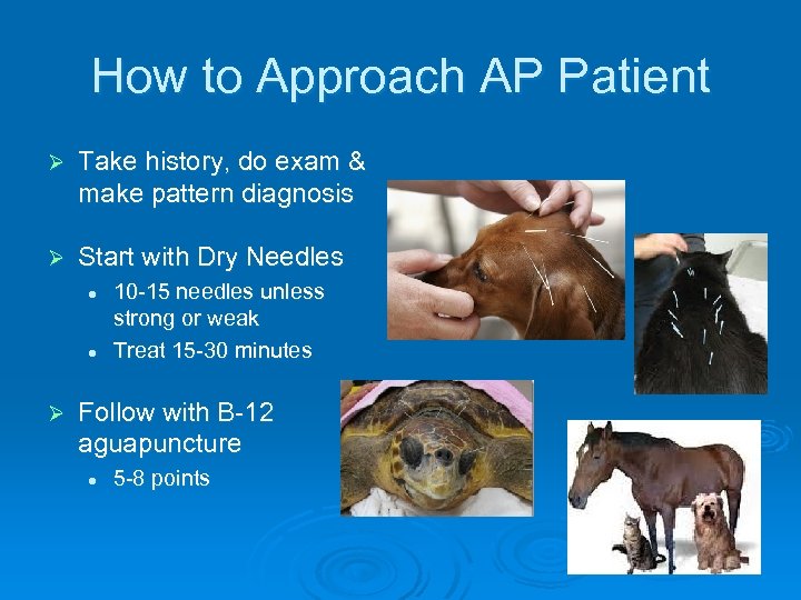 How to Approach AP Patient Ø Take history, do exam & make pattern diagnosis