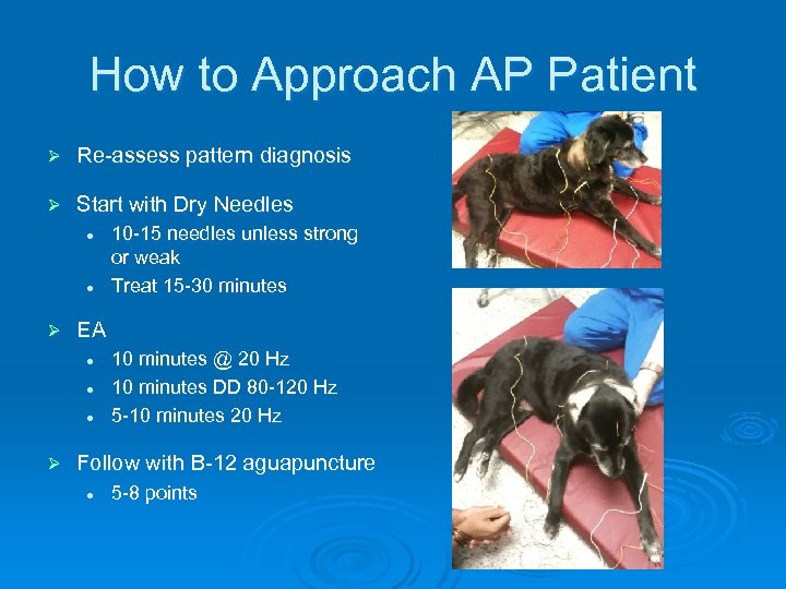 How to Approach AP Patient Ø Re-assess pattern diagnosis Ø Start with Dry Needles