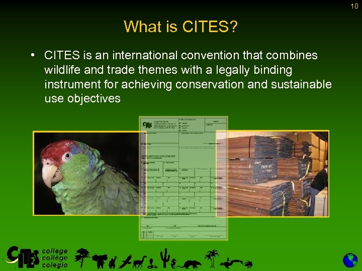 10 What is CITES? • CITES is an international convention that combines wildlife and