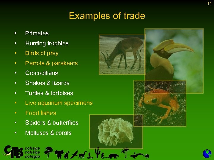 11 Examples of trade • Primates • Hunting trophies • Birds of prey •