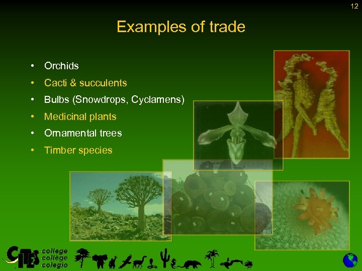 12 Examples of trade • Orchids • Cacti & succulents • Bulbs (Snowdrops, Cyclamens)