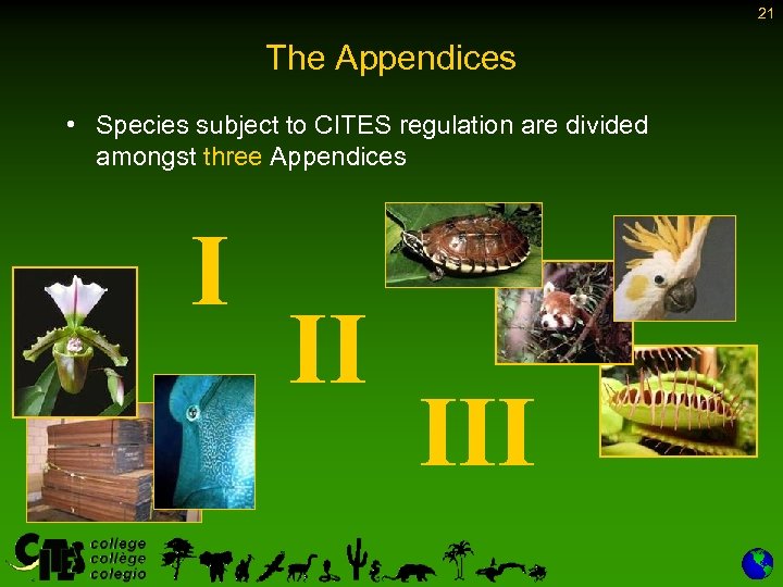 21 The Appendices • Species subject to CITES regulation are divided amongst three Appendices