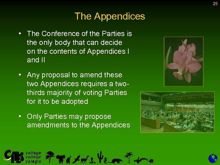 25 The Appendices • The Conference of the Parties is the only body that
