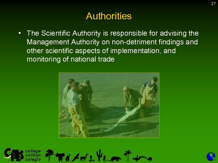 27 Authorities • The Scientific Authority is responsible for advising the Management Authority on
