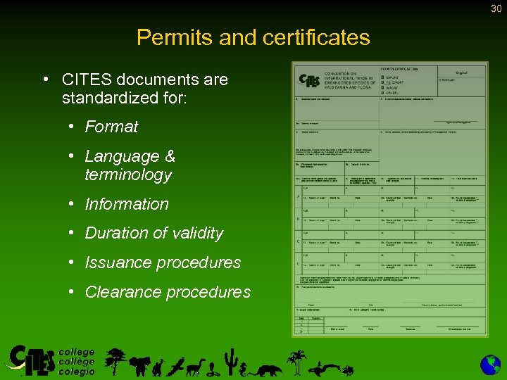 30 Permits and certificates • CITES documents are standardized for: • Format • Language