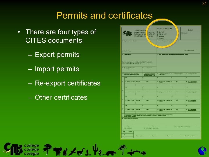 31 Permits and certificates • There are four types of CITES documents: – Export