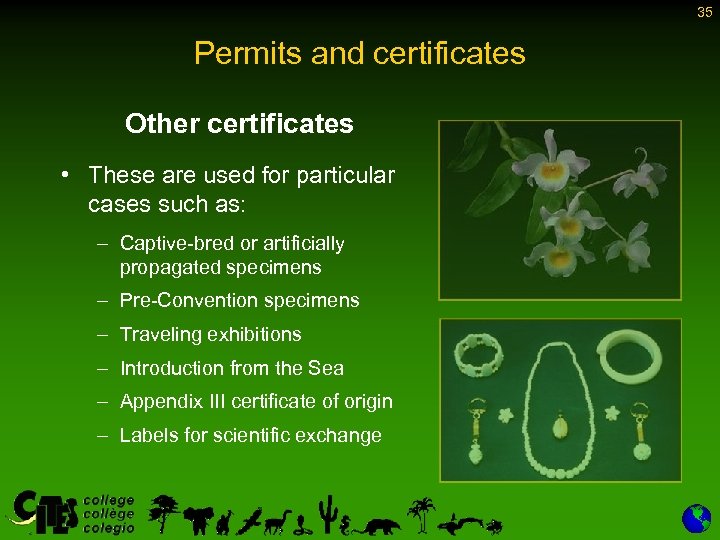 35 Permits and certificates Other certificates • These are used for particular cases such