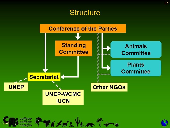 36 Structure Conference of the Parties Standing Committee Secretariat UNEP Animals Committee Plants Committee
