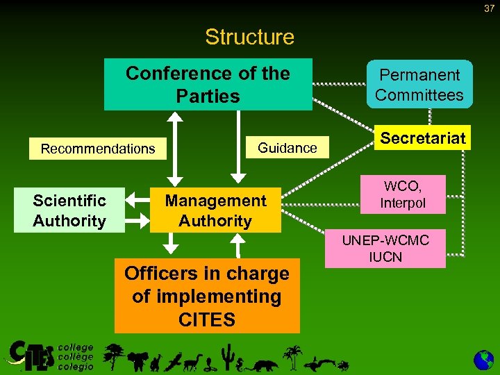 37 Structure Conference of the Parties Recommendations Scientific Authority Guidance Management Authority Officers in
