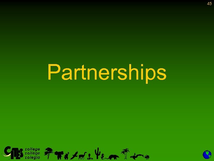 45 Partnerships 