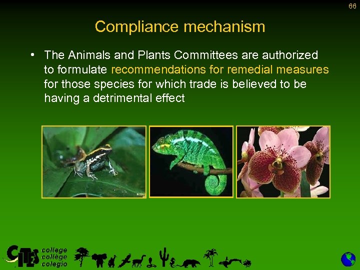 66 Compliance mechanism • The Animals and Plants Committees are authorized to formulate recommendations