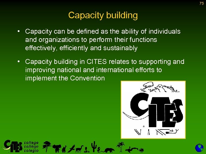 75 Capacity building • Capacity can be defined as the ability of individuals and
