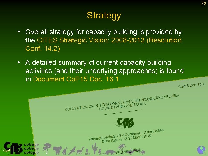 76 Strategy • Overall strategy for capacity building is provided by the CITES Strategic